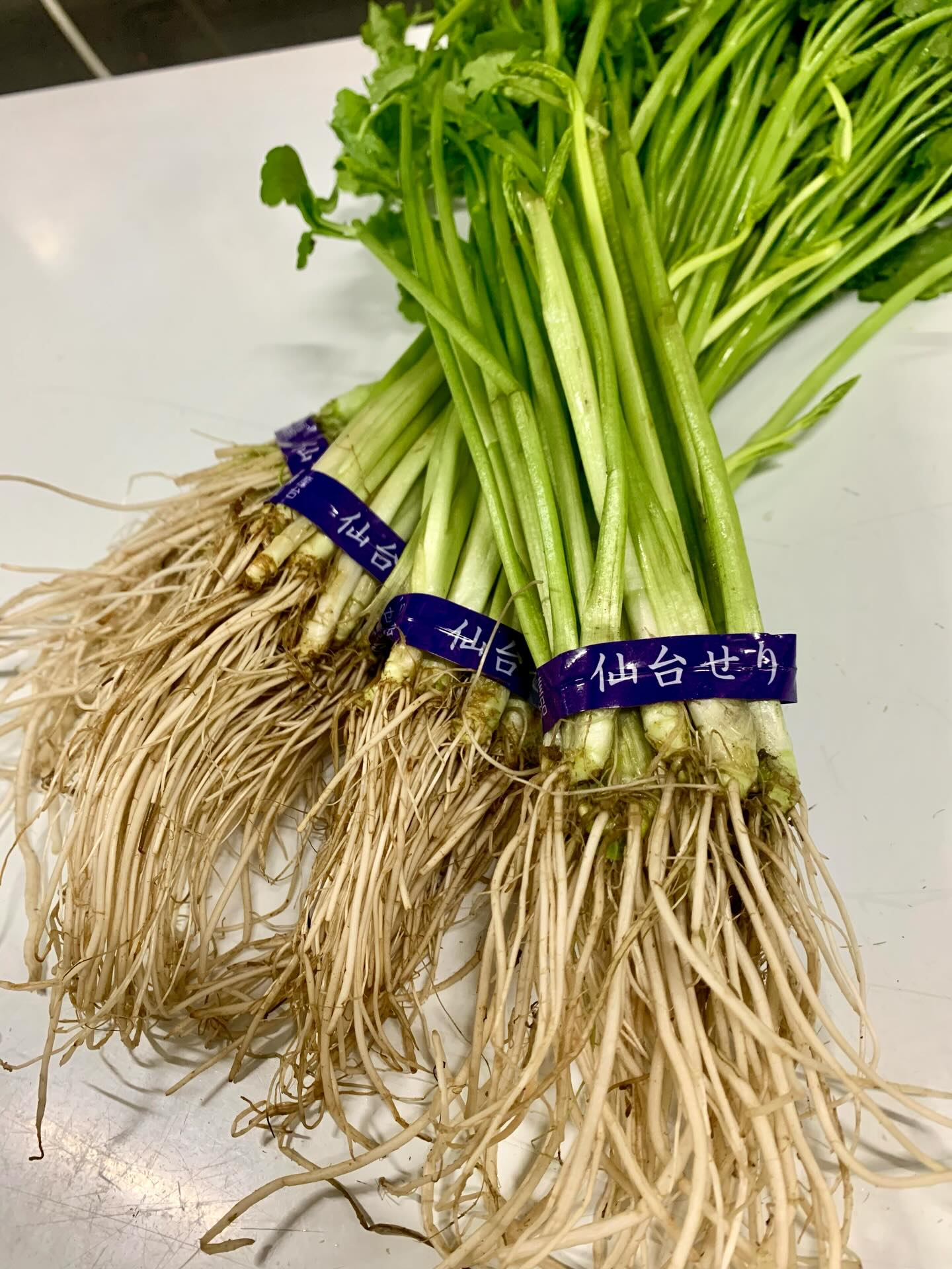 いらっしゃいませ!「居酒屋くしや」では、本日も仙台から最高の